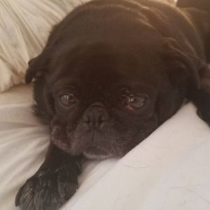 Meet your Posher, Regina